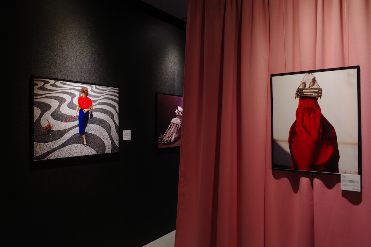 《國家地理女性經典影像展》松菸開展!「阿富汗少女」等100幅作品、跨越百年的女性生命故事 《國家地理女性經典影像展》松菸開展!「阿富汗少女」等100幅作品、跨越百年的女性生命故事