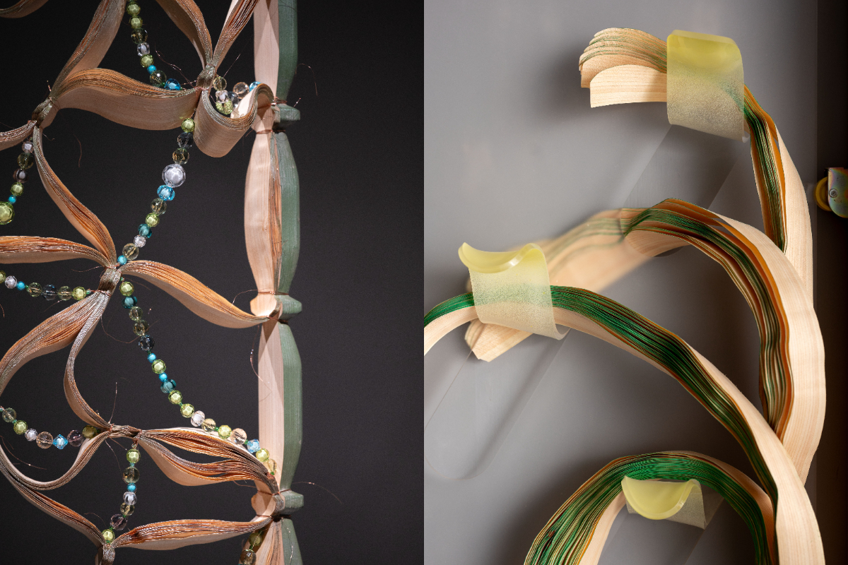 伊日藝術計劃展覽《耿傑生：回到自然捲》！藉木工技法重構植物與木材的「生命時間序」