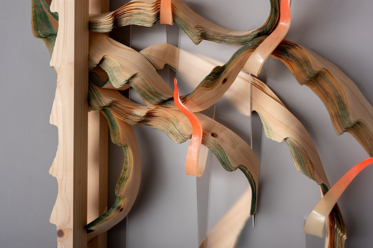 伊日藝術計劃展覽《耿傑生：回到自然捲》！藉木工技法重構植物與木材的「生命時間序」