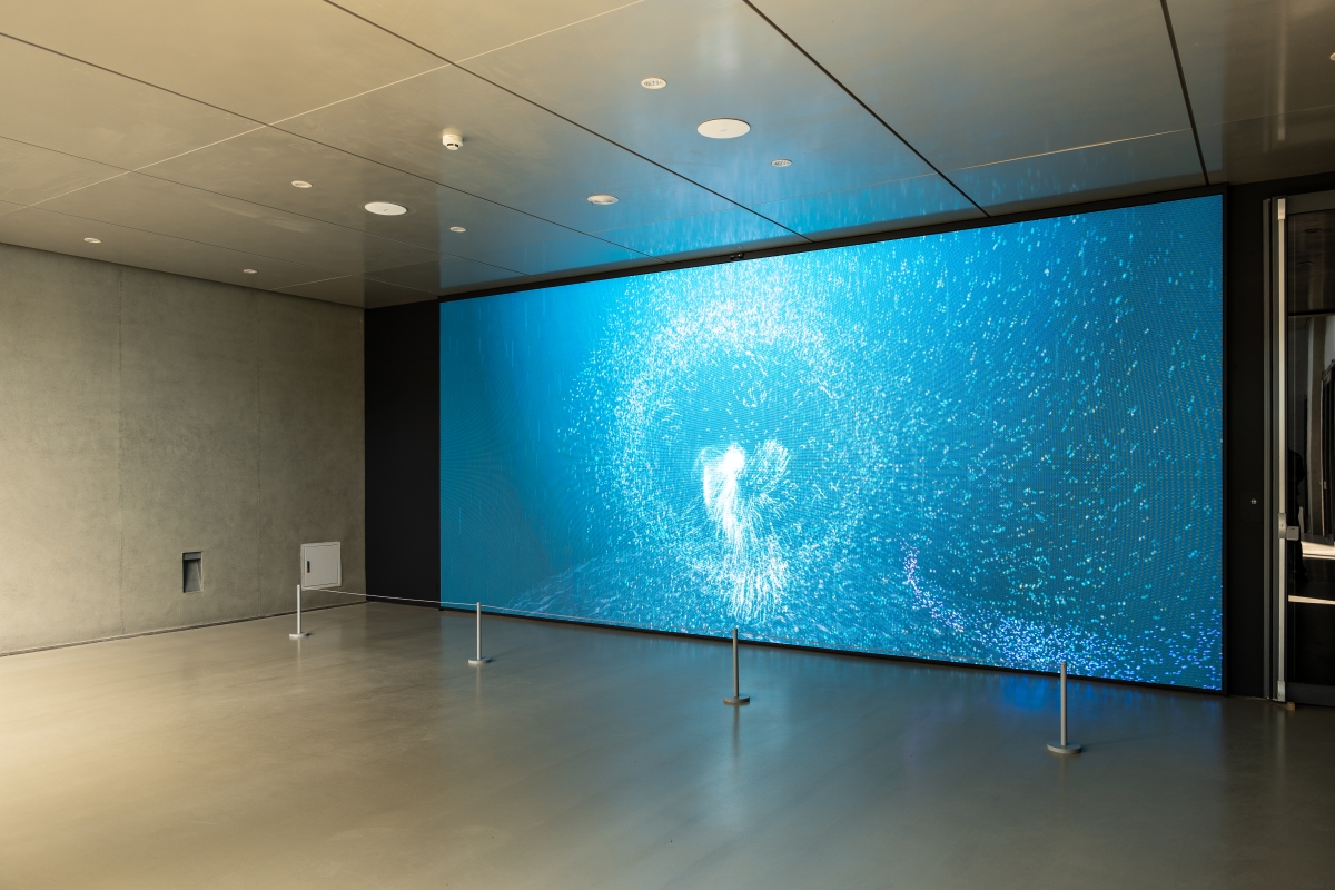 張博智〈流變的光景〉(圖片提供:新美館) 張博智〈流變的光景〉(圖片提供:新美館)