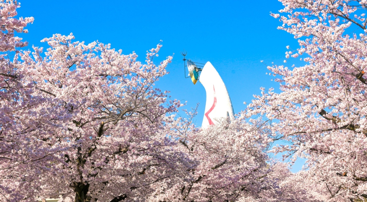 大阪萬博紀念公園「SAKURA EXPO 2025」登場!漫步櫻花大道賞櫻,搭上摩天輪俯瞰櫻花海 大阪萬博紀念公園「SAKURA EXPO 2025」登場!漫步櫻花大道賞櫻,搭上摩天輪俯瞰櫻花海