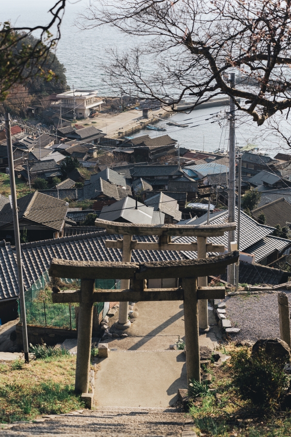 由豐玉姬神社回望向瀨戶內海。(攝影:吳哲夫) 由豐玉姬神社回望向瀨戶內海。(攝影:吳哲夫)