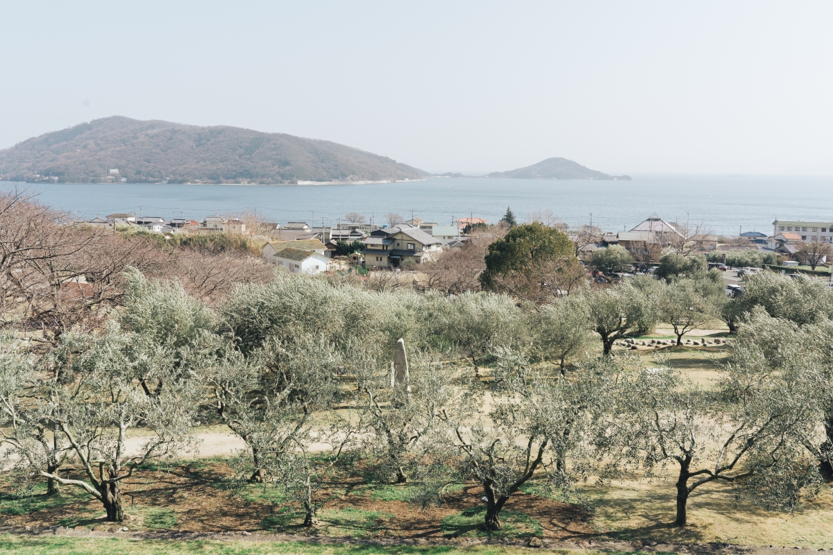 橄欖公園望海。(攝影:吳哲夫) 橄欖公園望海。(攝影:吳哲夫)