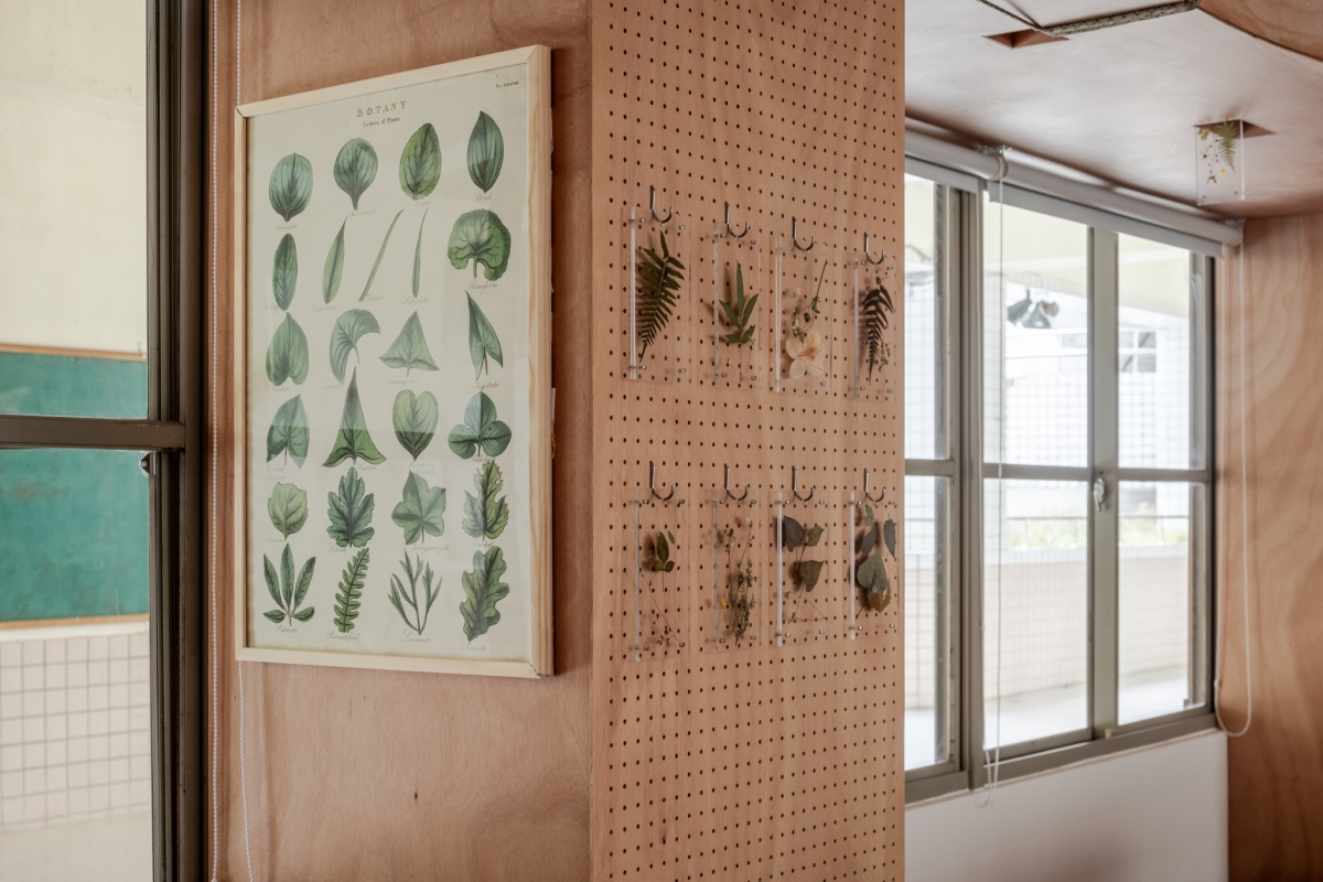 植物壓克力板展示(圖片提供:台灣設計研究院) 植物壓克力板展示(圖片提供:台灣設計研究院)