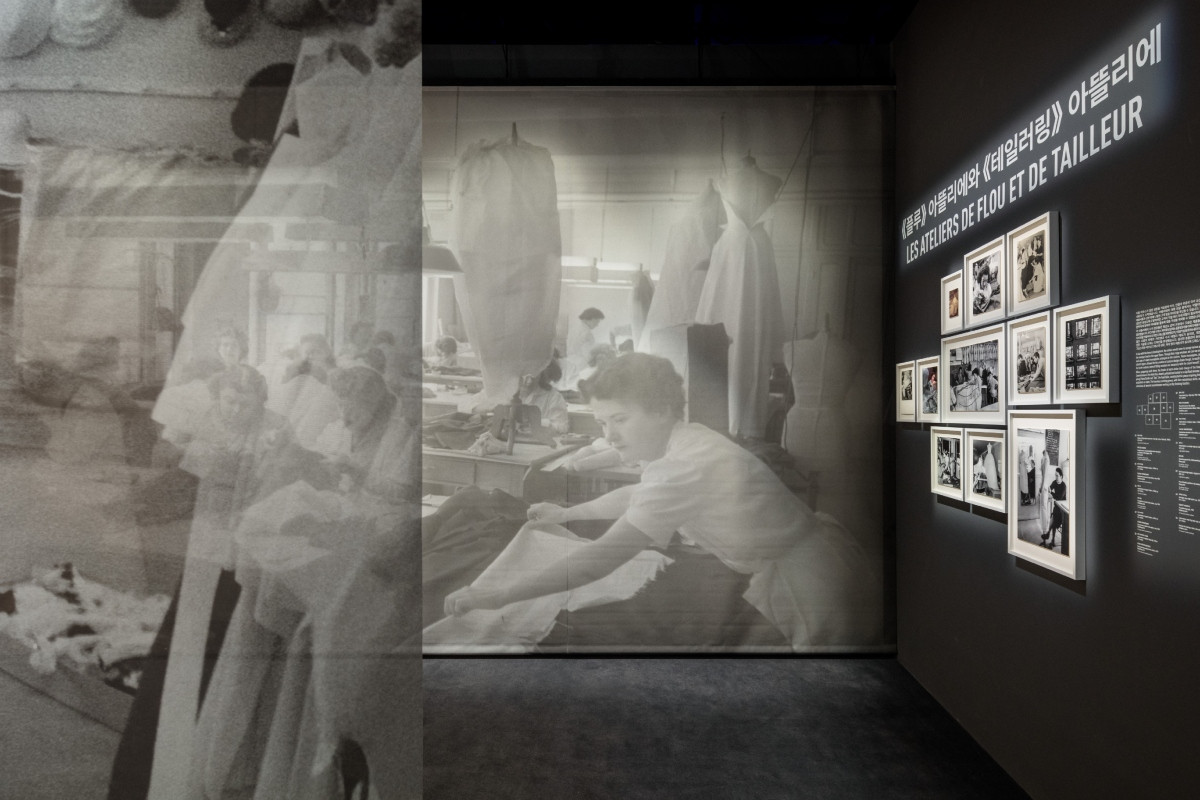 (圖片提供:OMA) (圖片提供:OMA)