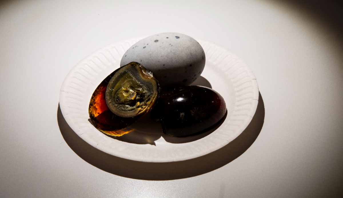 「噁の食物博物館」6月台北松菸展出!集結世界各地怪奇「美食」 「噁の食物博物館」6月台北松菸展出!集結世界各地怪奇「美食」