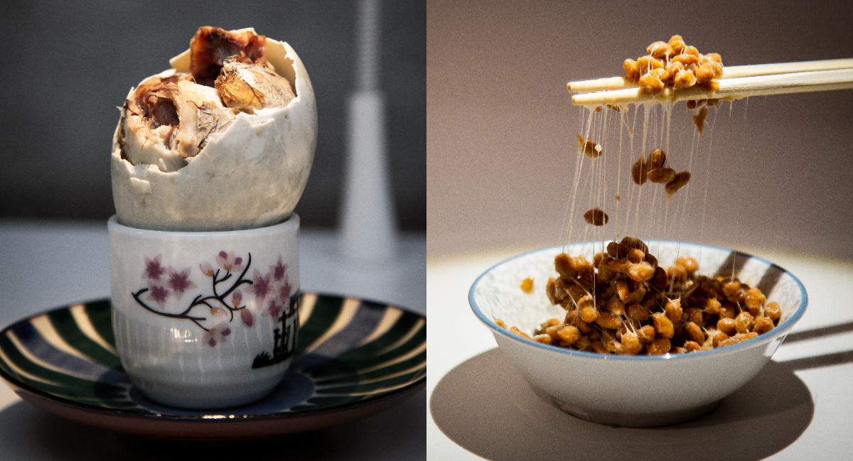 「噁の食物博物館」6月台北松菸展出!集結世界各地怪奇「美食」 「噁の食物博物館」6月台北松菸展出!集結世界各地怪奇「美食」