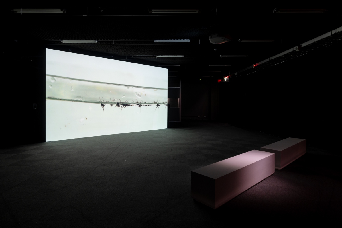展場照,圖為米尼亞・碧亞比亞尼的作品《在夜裡的無盡凝視》。(圖片提供:臺灣當代文化實驗場提供、攝影:片子國際呂國瑋) 展場照,圖為米尼亞・碧亞比亞尼的作品《在夜裡的無盡凝視》。(圖片提供:臺灣當代文化實驗場提供、攝影:片子國際呂國瑋)