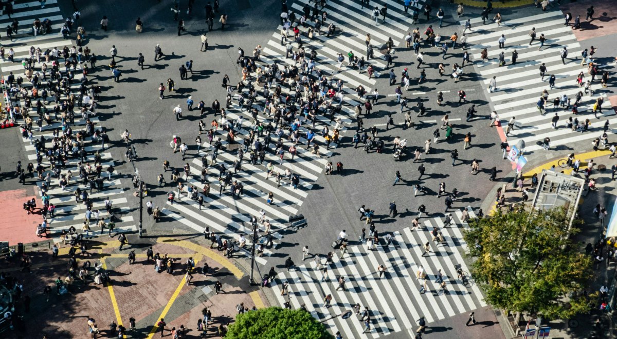 Photo by Ryoji Iwata on Unsplash Photo by Ryoji Iwata on Unsplash