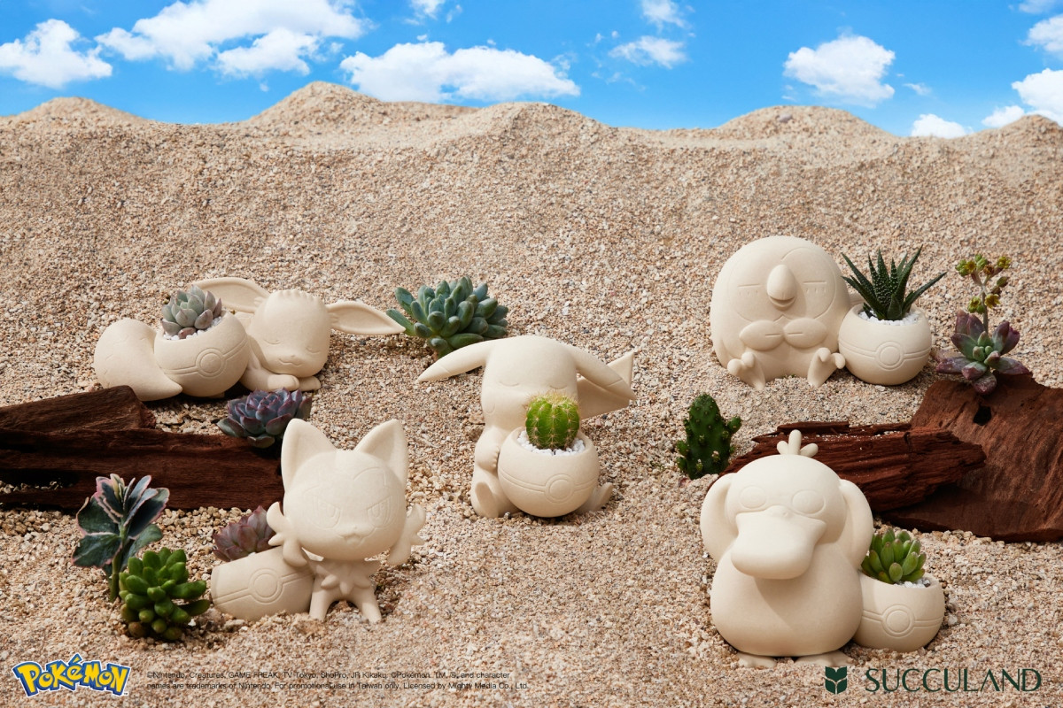 Pokémon寶可夢官方授權植栽系列5款設計包括皮卡丘、可達鴨、伊布、木木梟和新葉喵;全盆方案(五入),售價 NT$7,700。(圖片提供:有肉SUCCULAND) Pokémon寶可夢官方授權植栽系列5款設計包括皮卡丘、可達鴨、伊布、木木梟和新葉喵;全盆方案(五入),售價 NT$7,700。(圖片提供:有肉SUCCULAND)
