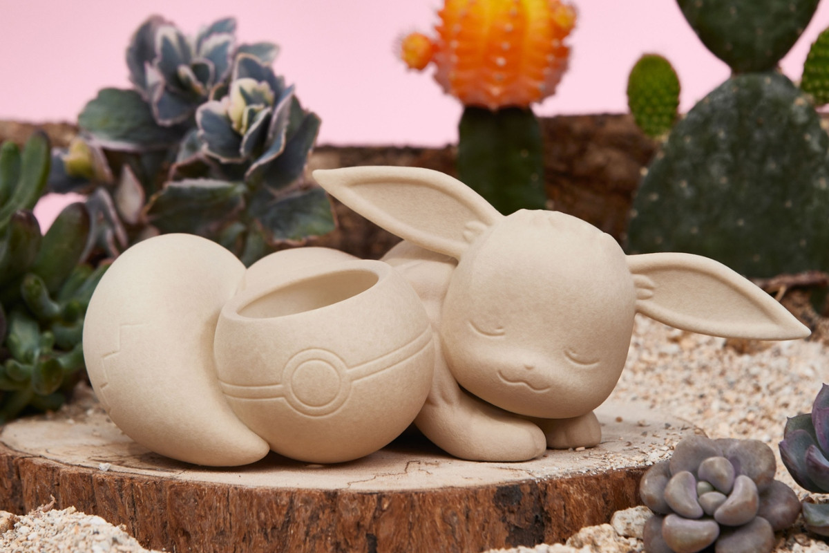 伊布款,售價 NT$1,790。(圖片提供:有肉SUCCULAND) 伊布款,售價 NT$1,790。(圖片提供:有肉SUCCULAND)