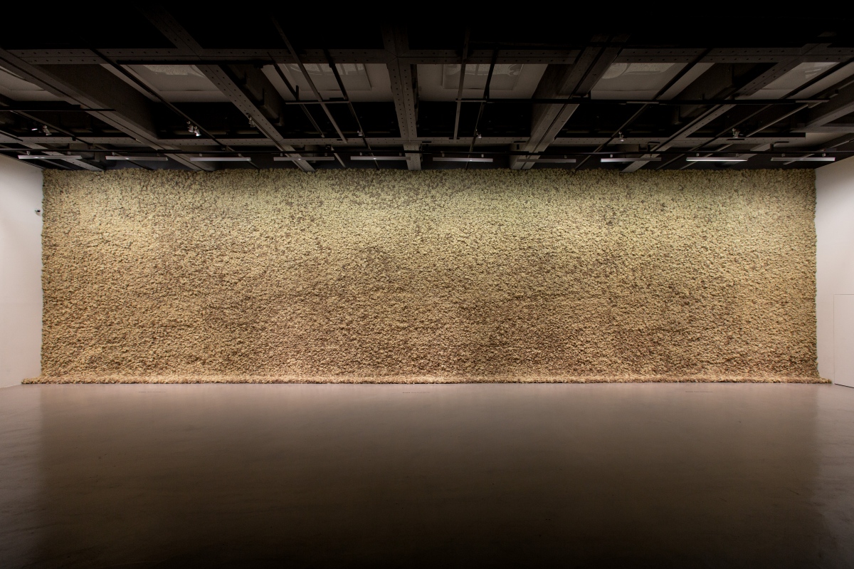 奧拉弗・埃利亞松,《苔蘚牆》,1994。圖片攝影/提供:臺北市立美術館,2025;倫敦泰德現代美術館典藏。© 1994 奧拉弗・埃利亞松 奧拉弗・埃利亞松,《苔蘚牆》,1994。圖片攝影/提供:臺北市立美術館,2025;倫敦泰德現代美術館典藏。© 1994 奧拉弗・埃利亞松
