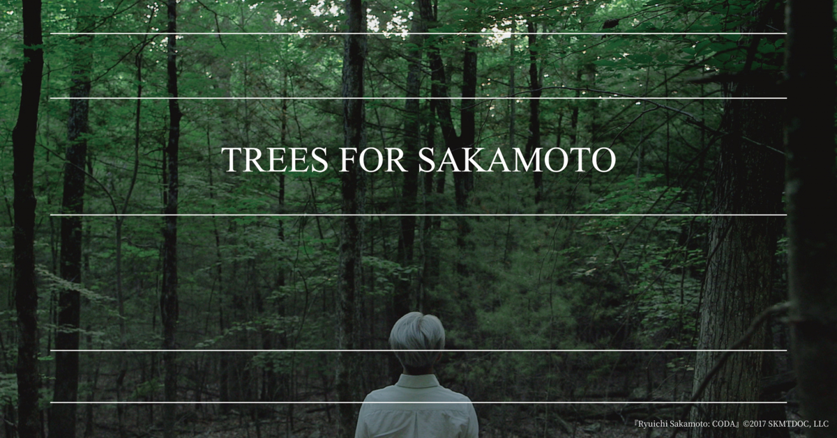 音樂家坂本龍一於2007年創立了「more trees」森林保育組織,其以「連結城市與森林」為宗旨,在日本國內、海外進行森林再生活動。(圖片來源:more trees) 音樂家坂本龍一於2007年創立了「more trees」森林保育組織,其以「連結城市與森林」為宗旨,在日本國內、海外進行森林再生活動。(圖片來源:more trees)