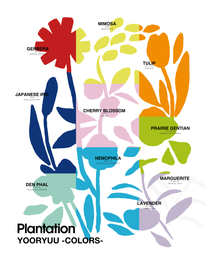 Plantation Plantation