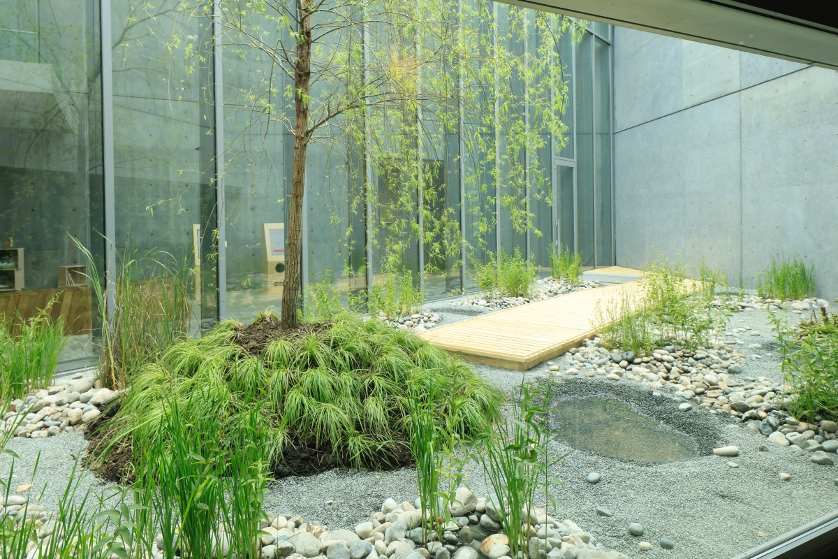 veig「蒸庭(圖片提供:21_21 DESIGN SIGHT、攝影:木奥恵三) veig「蒸庭(圖片提供:21_21 DESIGN SIGHT、攝影:木奥恵三)