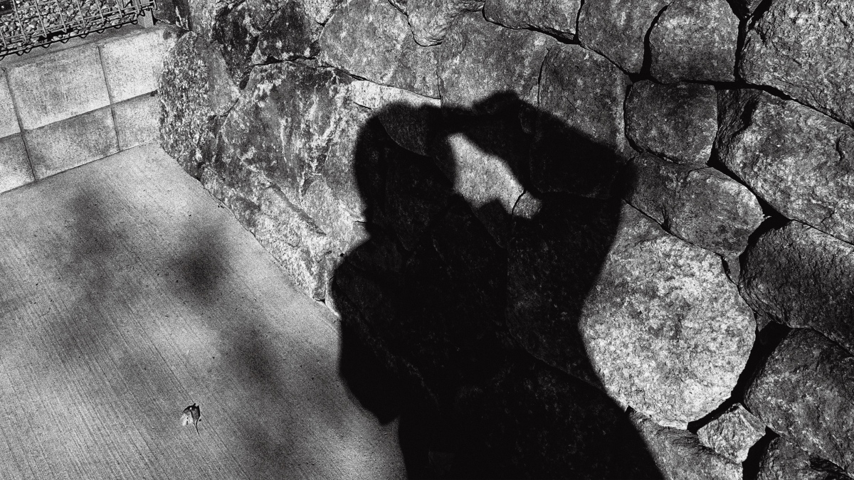 ©️Daido Moriyama ©️Daido Moriyama