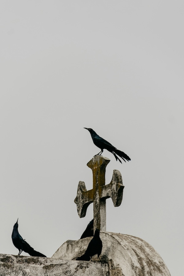 Photo by Jacob Mejicanos on Unsplash Photo by Jacob Mejicanos on Unsplash