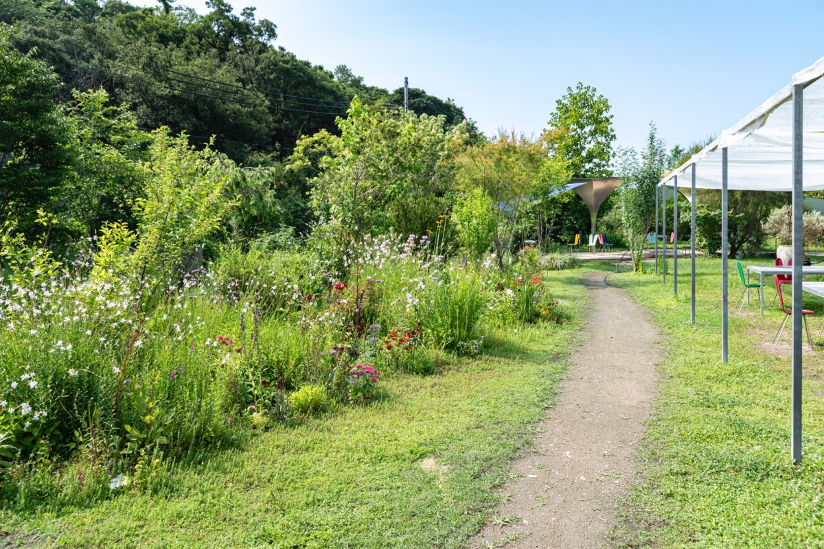 「犬島 生活植物園」將一處長年未使用的溫室與約4,500平方公尺土地再生,發展為結合犬島風土與文化的植物園。(圖片來源:福武財團、攝影:川越 健太) 「犬島 生活植物園」將一處長年未使用的溫室與約4,500平方公尺土地再生,發展為結合犬島風土與文化的植物園。(圖片來源:福武財團、攝影:川越 健太)