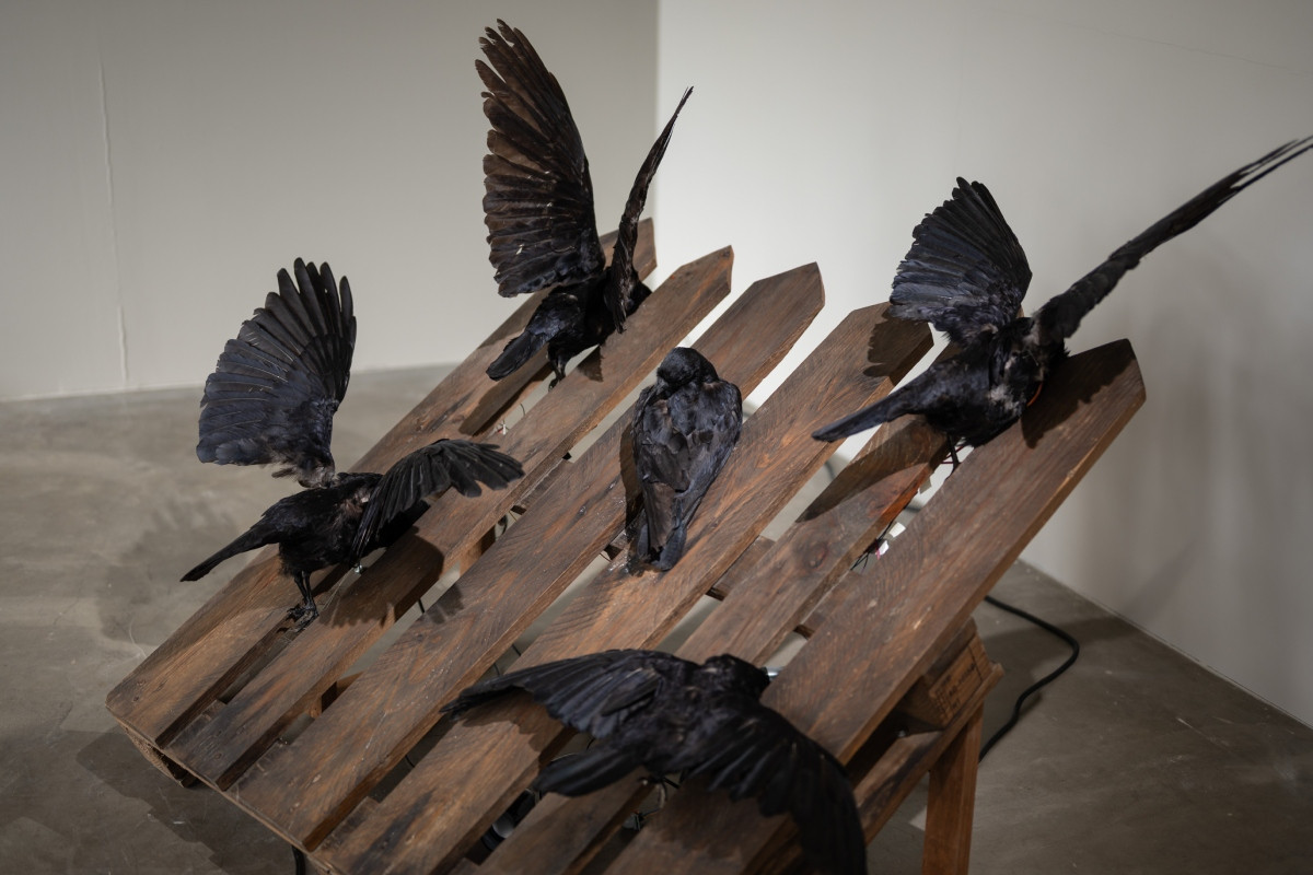 《Summoner of Birds》展覽現場。(圖⽚提供:Courtesy of the Artist, YIRI ARTS) 《Summoner of Birds》展覽現場。(圖⽚提供:Courtesy of the Artist, YIRI ARTS)