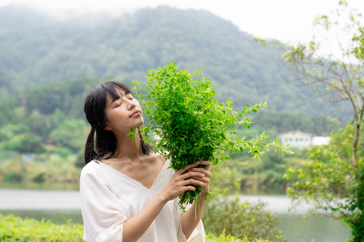 (圖片提供:肯園) (圖片提供:肯園)