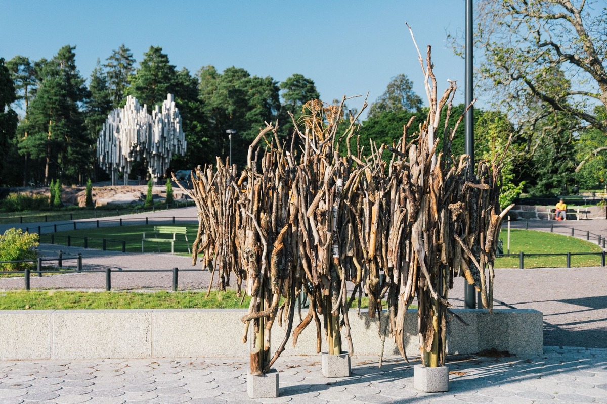 芬蘭赫爾辛基推「狗狗專屬旅遊路線」！從城市到小島，邀毛孩與主人共享幸福