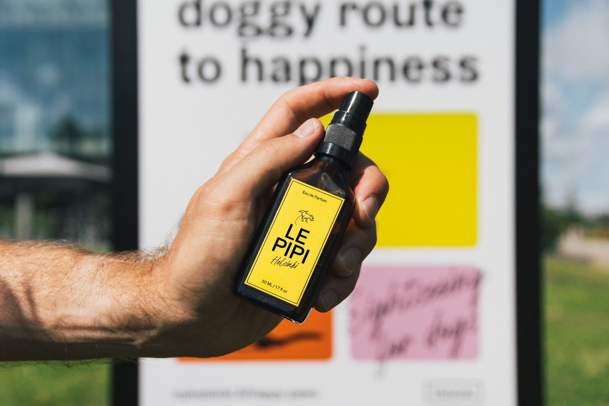 芬蘭赫爾辛基推「狗狗專屬旅遊路線」！從城市到小島，邀毛孩與主人共享幸福