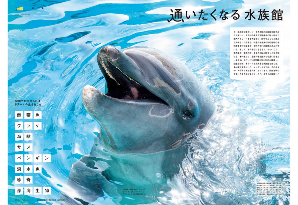 《BRUTUS》海生館特輯。(圖片提供:BRUTUS) 《BRUTUS》海生館特輯。(圖片提供:BRUTUS)