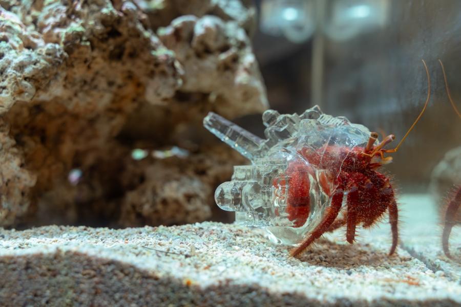 「2025基隆潮藝術」9/26登場！展區橫跨山、海與城，爬梳在地生活記憶