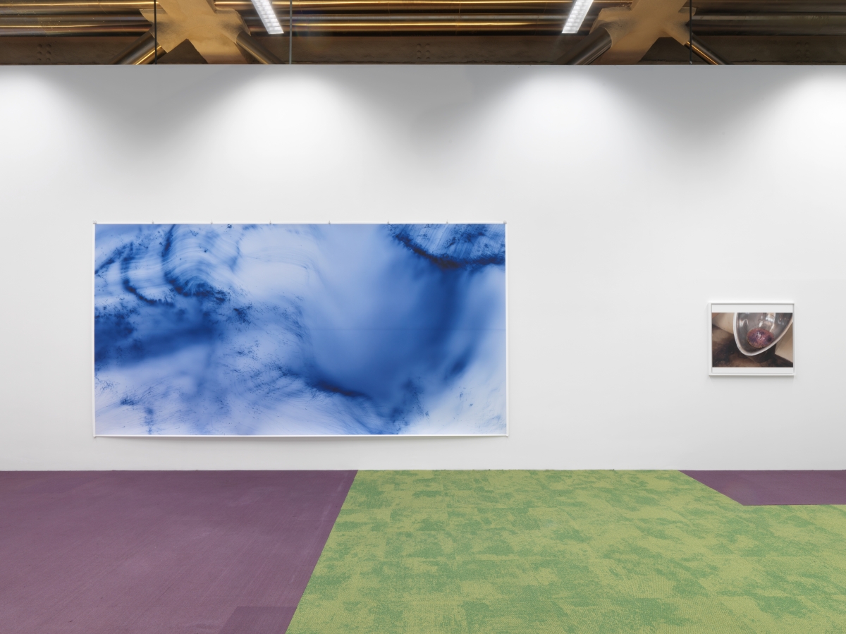 展覽一景。(攝影:Jens Ziehe|圖片由Galerie Buchholz、巴黎 Chantal Crousel 畫廊、 倫敦 Maureen Paley 畫廊、紐約 David Zwirner 畫廊提供) 展覽一景。(攝影:Jens Ziehe|圖片由Galerie Buchholz、巴黎 Chantal Crousel 畫廊、 倫敦 Maureen Paley 畫廊、紐約 David Zwirner 畫廊提供)