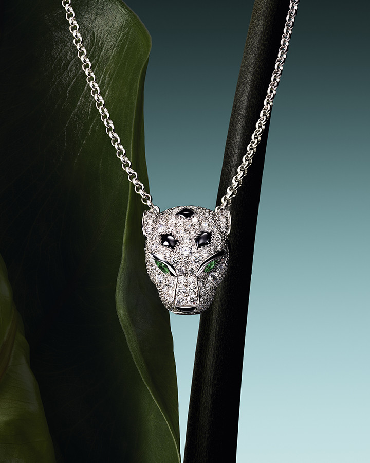 Cartier Cartier