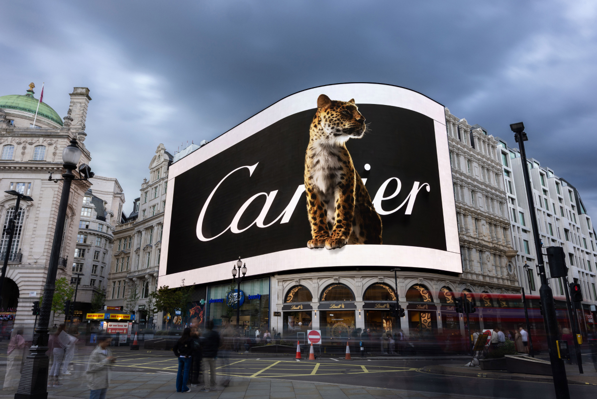 Cartier Cartier