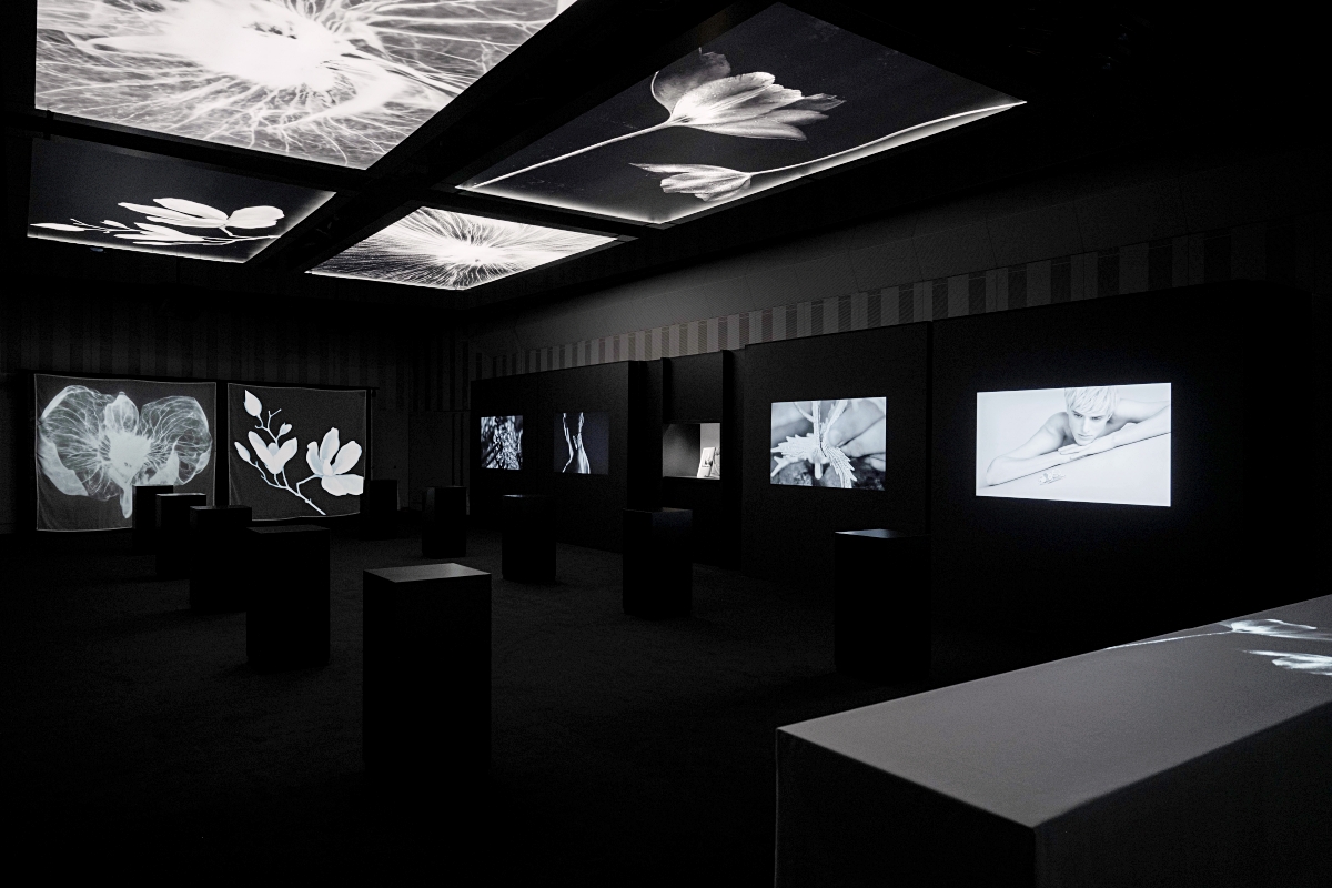 寶詩龍「Carte Blanche, Impermanence」東京高級珠寶展。(圖片提供:Boucheron) 寶詩龍「Carte Blanche, Impermanence」東京高級珠寶展。(圖片提供:Boucheron)