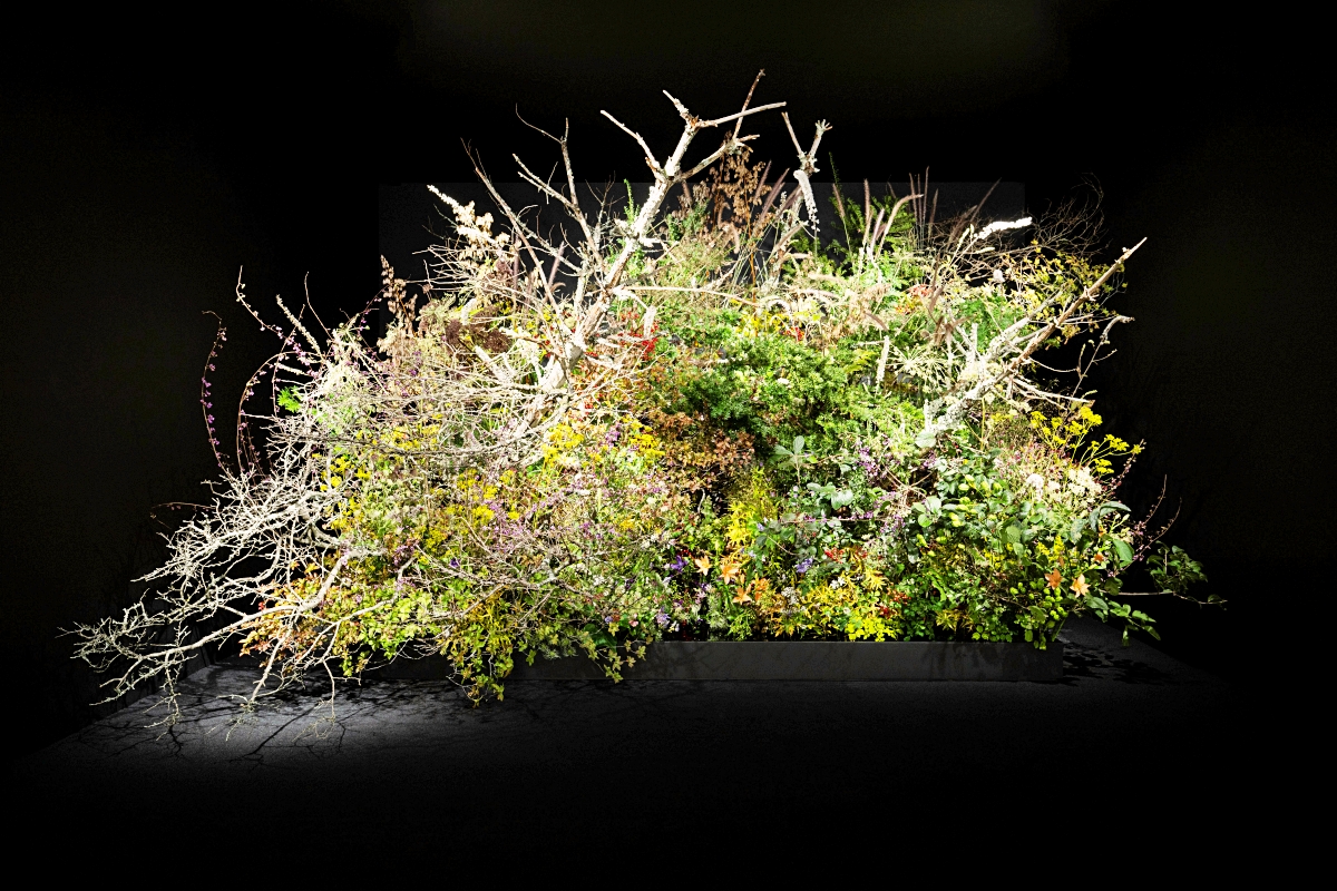 寶詩龍「Carte Blanche, Impermanence」東京高級珠寶展。(圖片提供:Boucheron) 寶詩龍「Carte Blanche, Impermanence」東京高級珠寶展。(圖片提供:Boucheron)