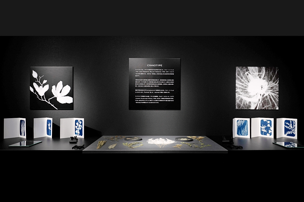 寶詩龍「Carte Blanche, Impermanence」東京高級珠寶展。(圖片提供:Boucheron) 寶詩龍「Carte Blanche, Impermanence」東京高級珠寶展。(圖片提供:Boucheron)
