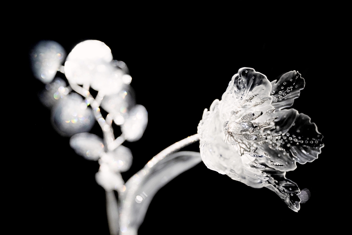 「Composition n°6 鬱金香、尤加利葉、蜻蜓」。(圖片提供:Boucheron) 「Composition n°6 鬱金香、尤加利葉、蜻蜓」。(圖片提供:Boucheron)