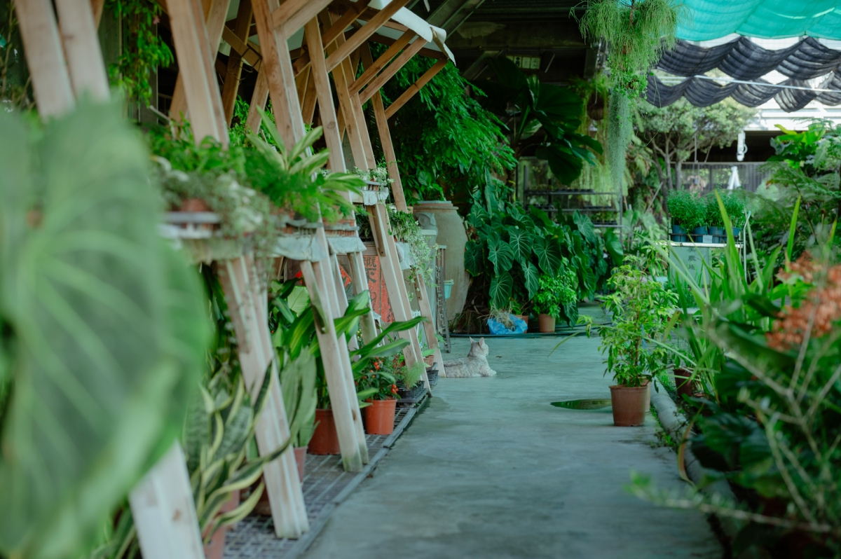 (攝影:Bluewein Photography王家駒) (攝影:Bluewein Photography王家駒)