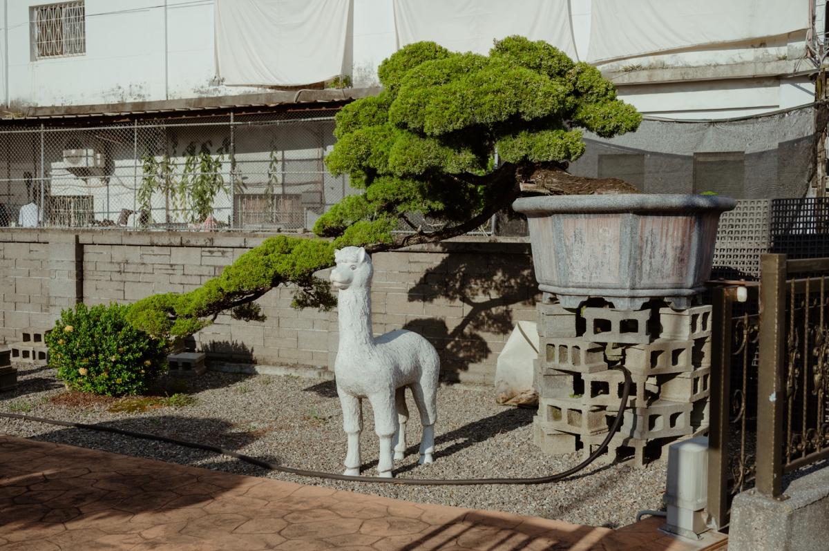 田尾公路花園店家。(攝影:Bluewein Photography王家駒) 田尾公路花園店家。(攝影:Bluewein Photography王家駒)