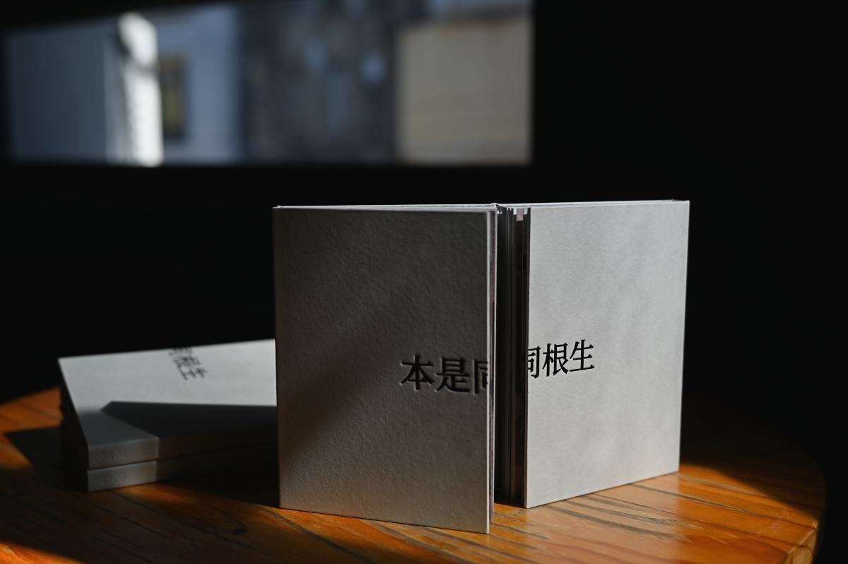 《本是同根生》。(圖片提供:蔡定邦) 《本是同根生》。(圖片提供:蔡定邦)