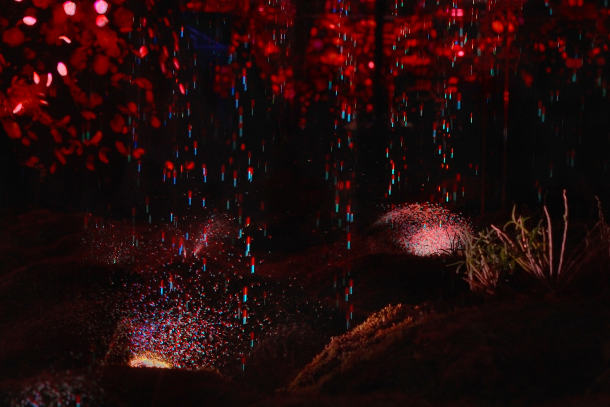 作品內容亦模擬大自然降雨並提高展覽空間溫度,在室內環境成功孕育四季生機。(圖片提供:teamLab Biovortex Kyoto, Kyoto © teamLab) 作品內容亦模擬大自然降雨並提高展覽空間溫度,在室內環境成功孕育四季生機。(圖片提供:teamLab Biovortex Kyoto, Kyoto © teamLab)