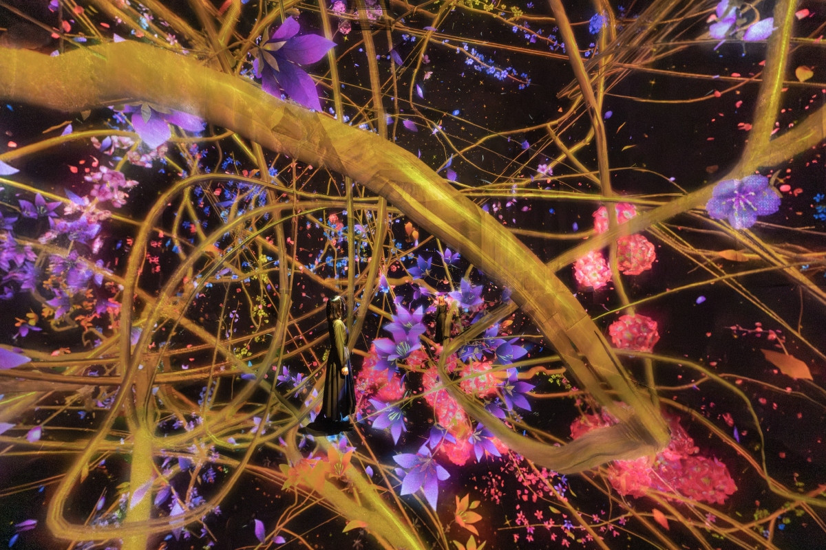 《Traces of Life/痕跡》。(圖片提供:teamLab Biovortex Kyoto, Kyoto © teamLab) 《Traces of Life/痕跡》。(圖片提供:teamLab Biovortex Kyoto, Kyoto © teamLab)