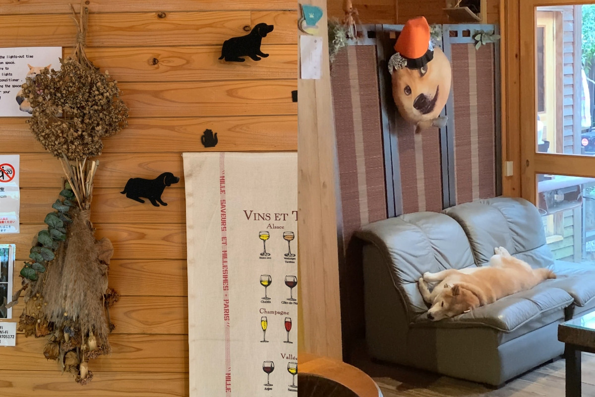 與狗相關的設計巧思充斥各角落,引人沿路尋找「狗足跡」;Kinta此刻正在沙發上睡午覺。(圖片提供:Ning Chi) 與狗相關的設計巧思充斥各角落,引人沿路尋找「狗足跡」;Kinta此刻正在沙發上睡午覺。(圖片提供:Ning Chi)