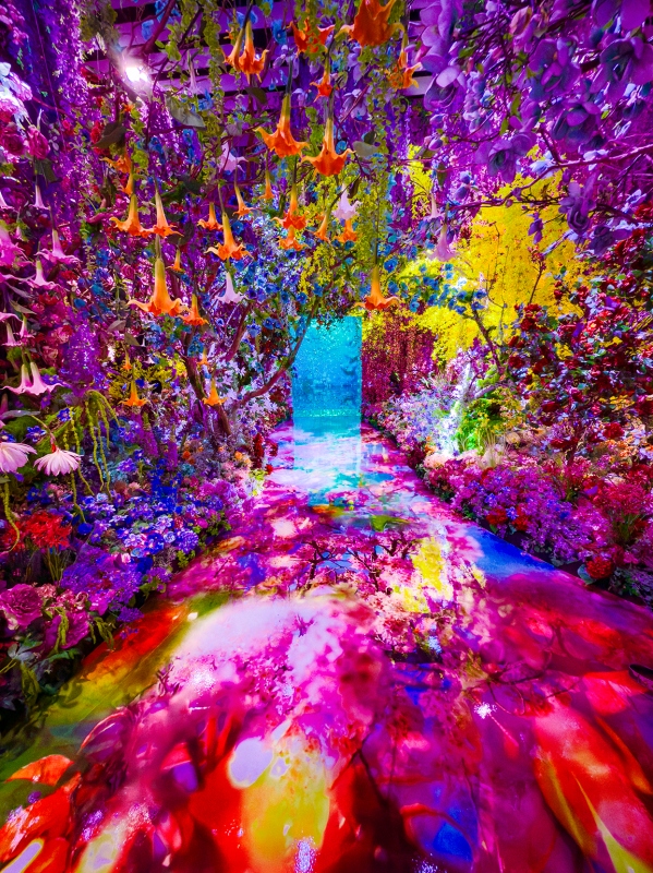 展區《深淵彼岸的夢》繁花綻放於展場中,蜷川實花以斑斕色彩編織出絢麗花海。(日本京都市京瓷美術館;圖片提供:聯合數位文創) 展區《深淵彼岸的夢》繁花綻放於展場中,蜷川實花以斑斕色彩編織出絢麗花海。(日本京都市京瓷美術館;圖片提供:聯合數位文創)