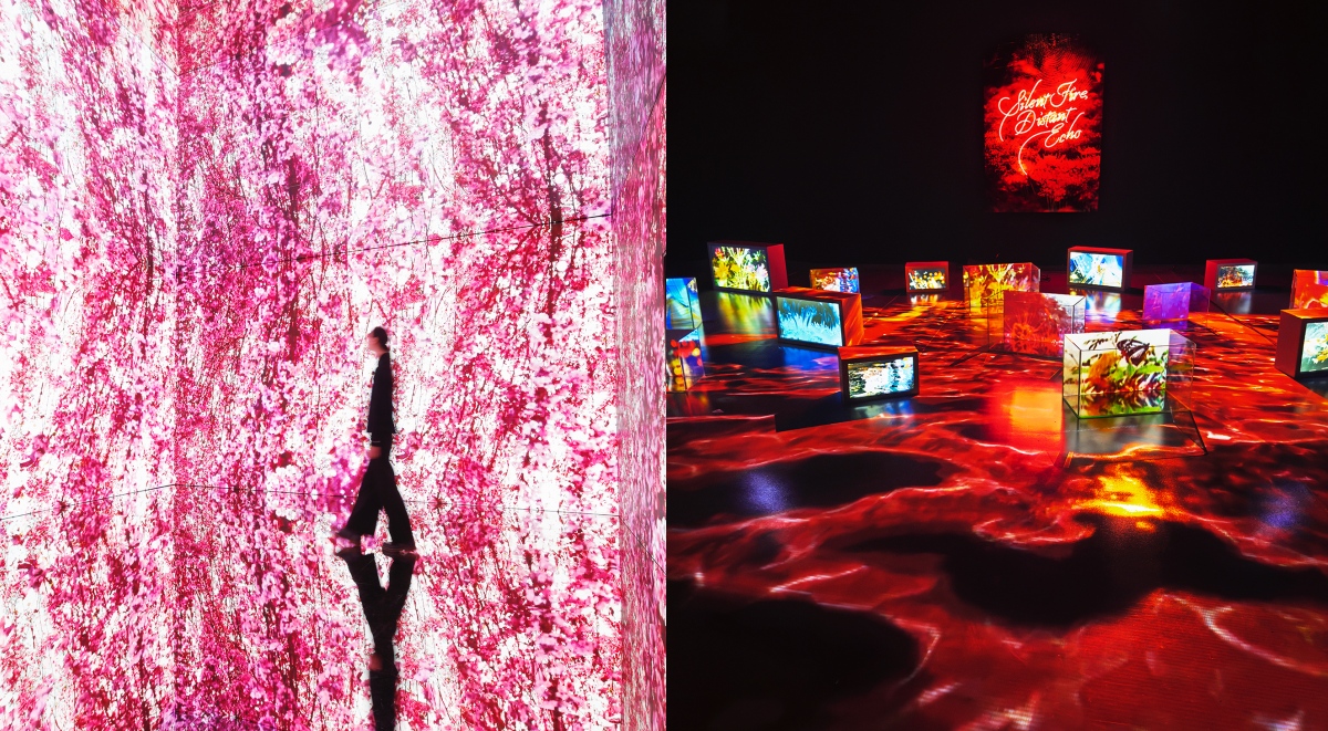 《蜷川實花展with EiM:彼岸之光,此岸之影》大展登陸台北!2026年1月開展,走進光影交織的沉浸式藝術世界 《蜷川實花展with EiM:彼岸之光,此岸之影》大展登陸台北!2026年1月開展,走進光影交織的沉浸式藝術世界