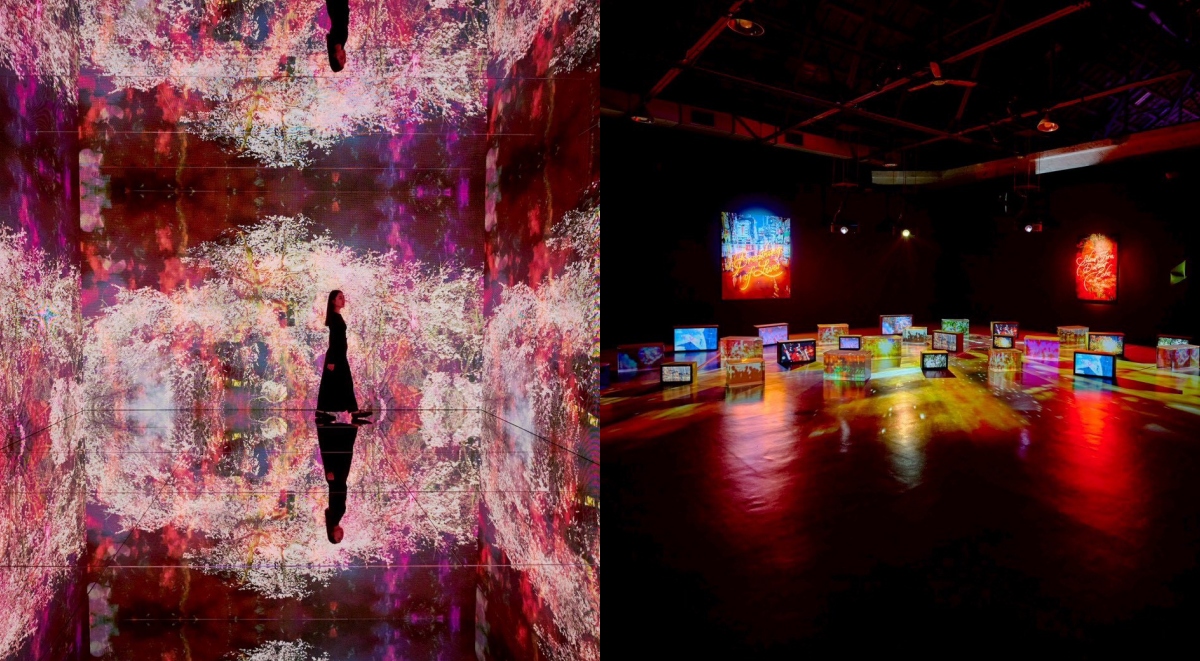 《蜷川實花展with EiM：彼岸之光，此岸之影》大展登陸台北！8大展區設計，走進光影交織的沉浸式藝術世界