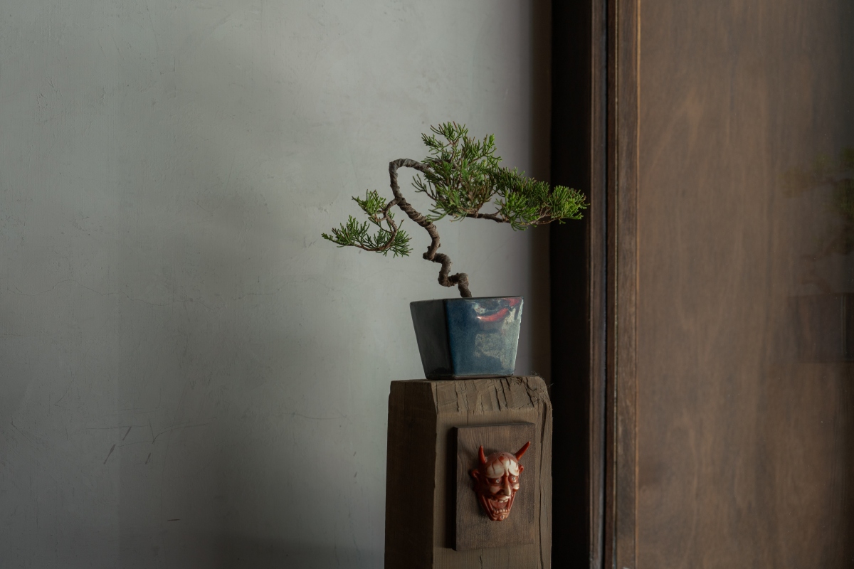 （圖片提供：辵辵計画）