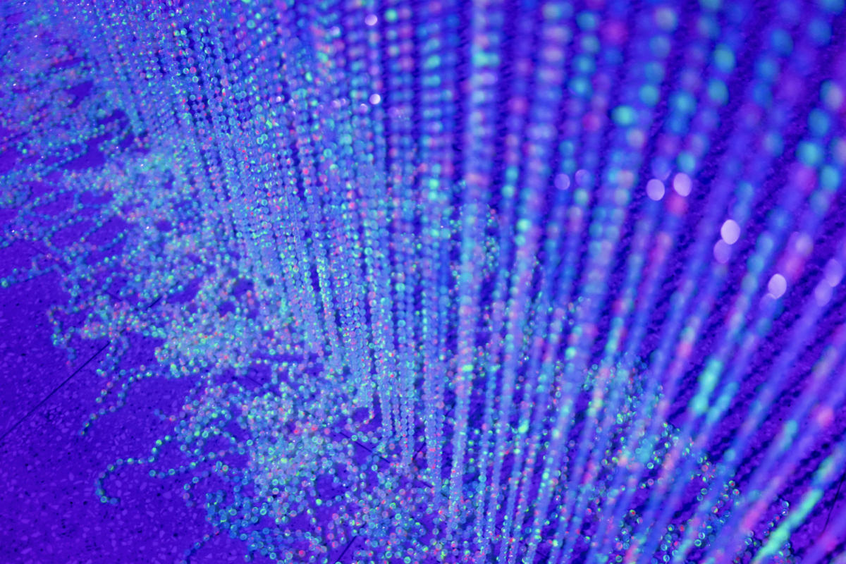 基隆美術館《我（們）到此一遊》開展！剖析「觀看即表演」的當代社群奇觀