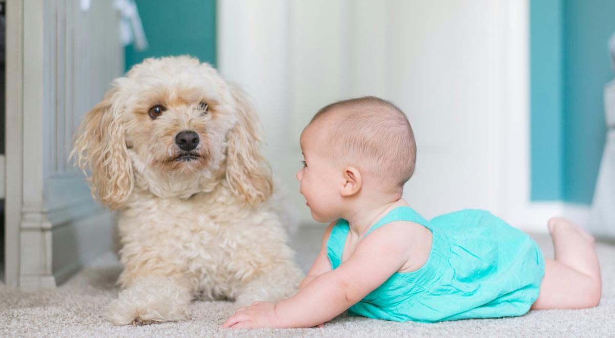 Photo by Picsea on Unsplash