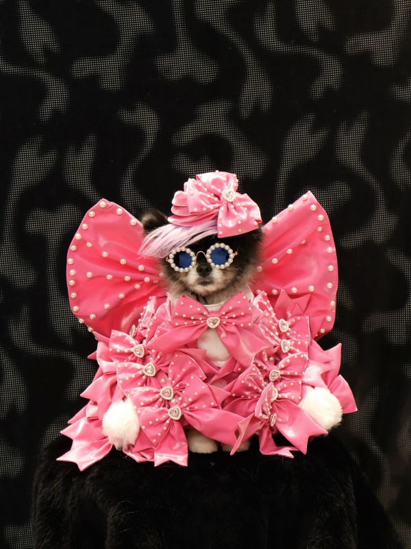 Pazzesco by JUST IN XX（圖片提供：草率季）