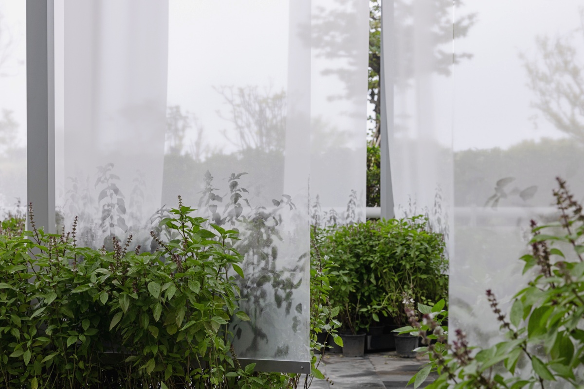 2025台北雙年展《地平線上的低吟》5件必看！從感官、神話到歷史的藝術探索