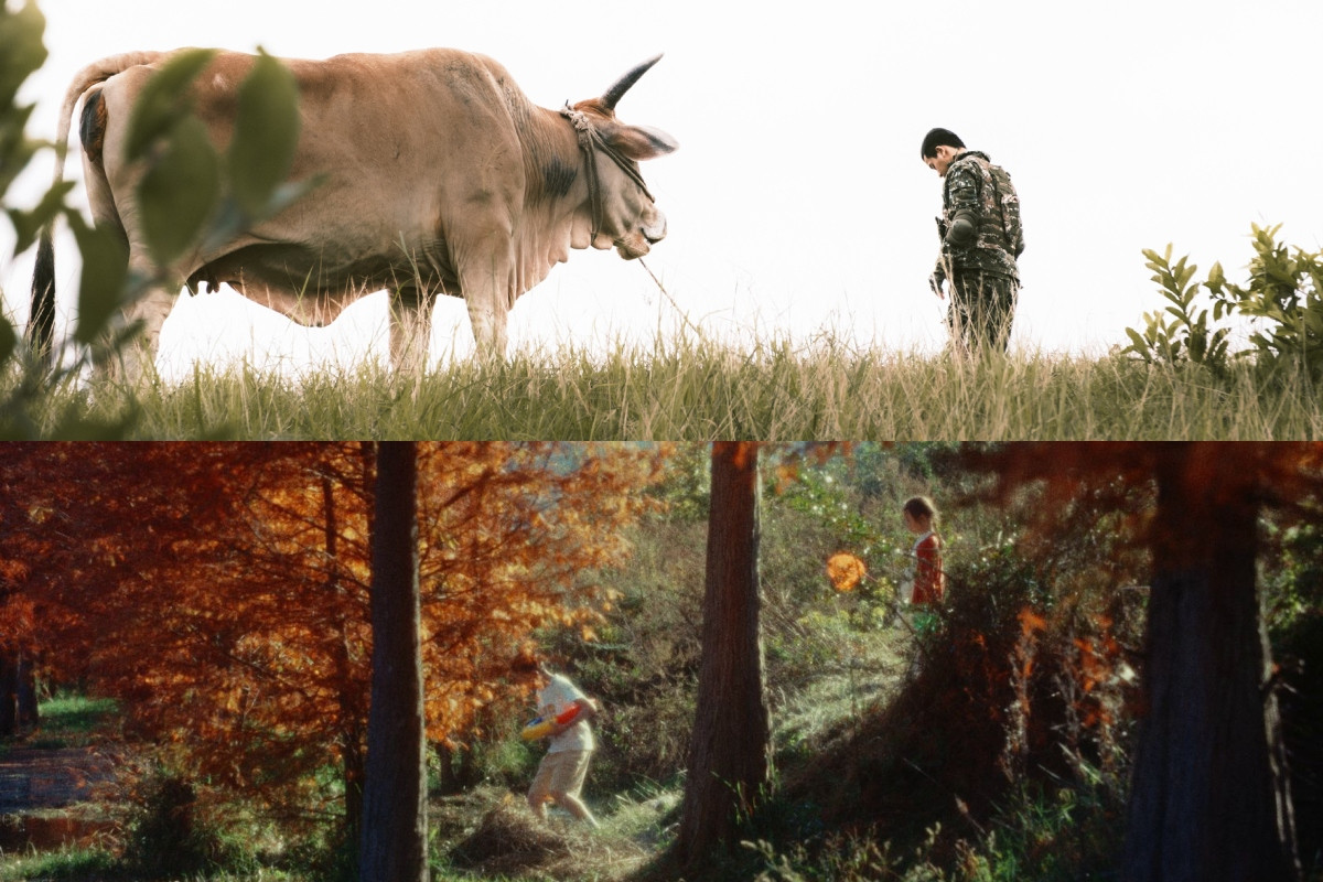 2025金馬獎最佳劇情短片入圍者《這不是我的牛》（上）、《綠湖》（下）。（圖片提供：金馬執委會）